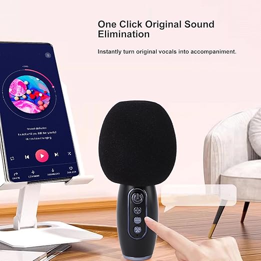 Wireless Karaoke Speaker (LS-T6)