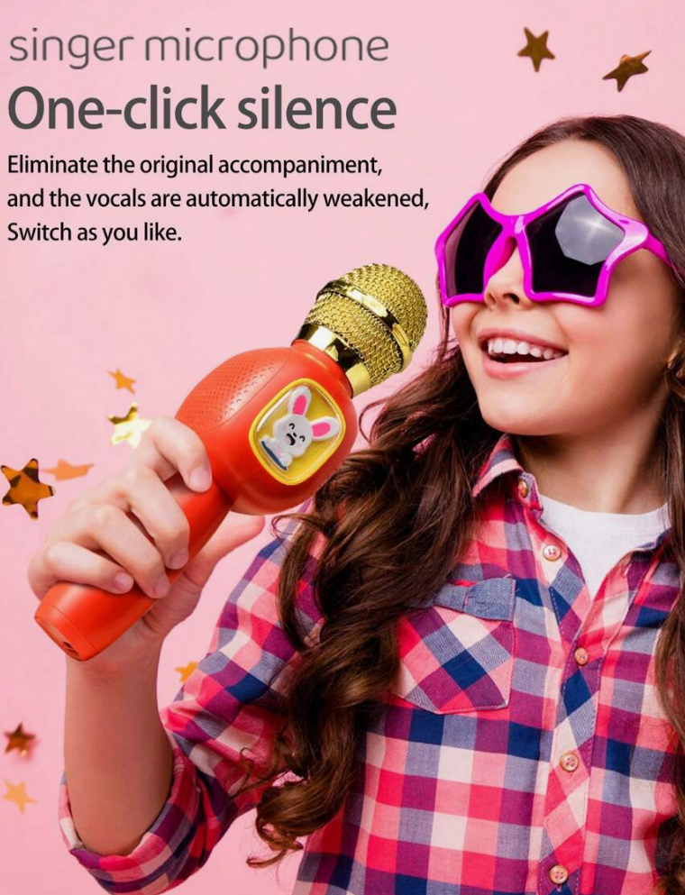 Handheld Microphone Toy