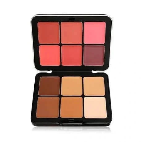 CARLA SECRET 12 COLOR CREAM CONCEALER & BLUSH PALETTE 2 IN 1